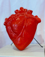 Corazon anatomico en ceramica rojo big